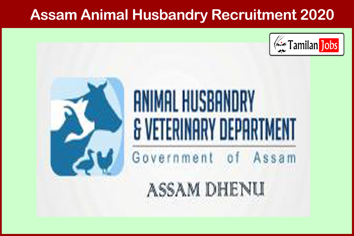 Assam Animal Husbandry Recruitment 2020 Out - Apply 221 Veterinary Field  Assistant Jobs