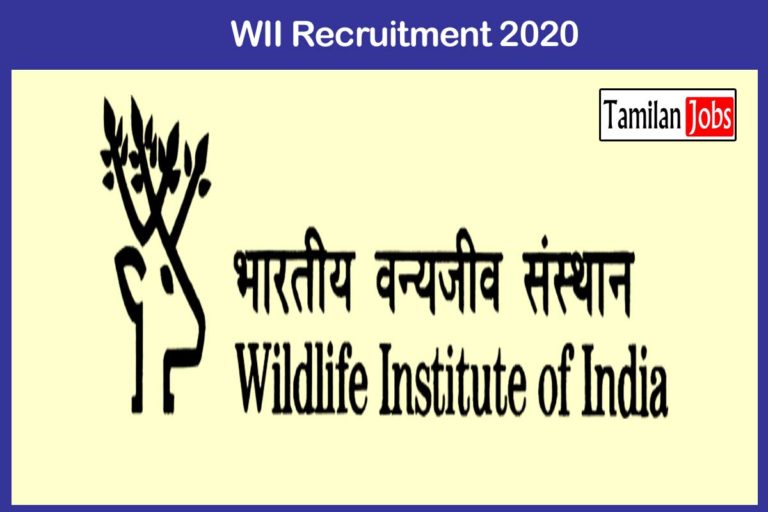 WII Recruitment 2020