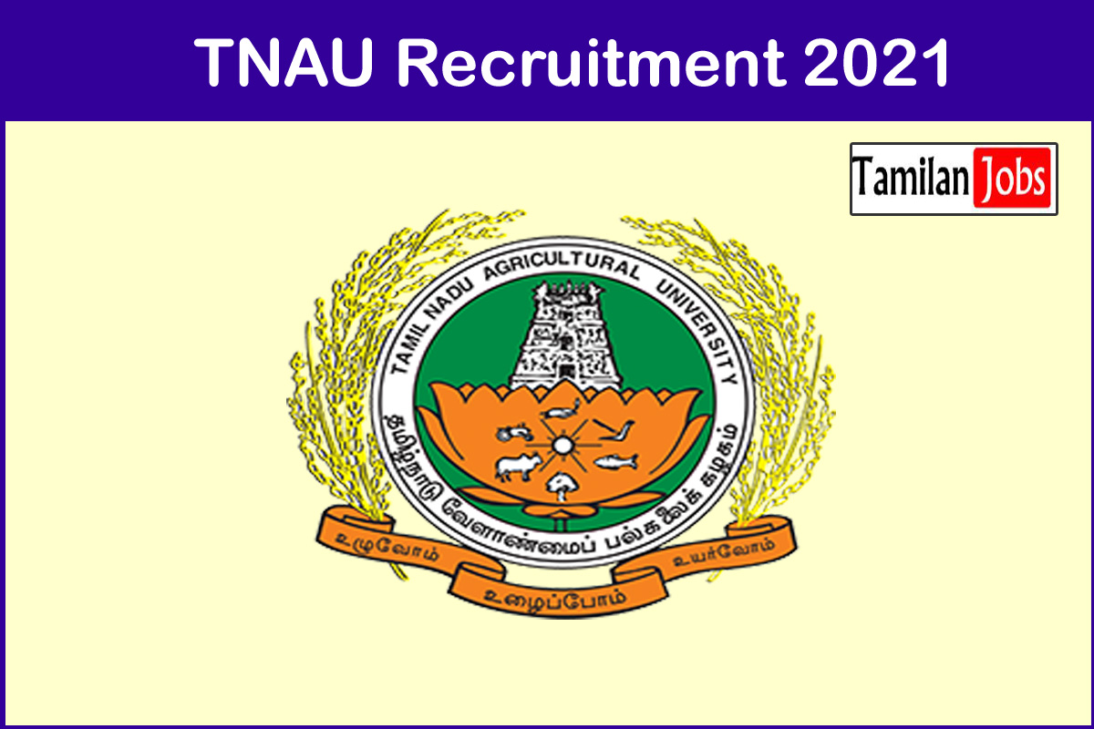 TNAU Recruitment 2021 - Tamilan Jobs TNAU Recruitment 2021