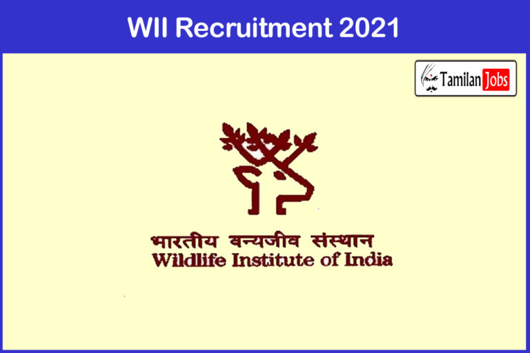 WII Recruitment 2021