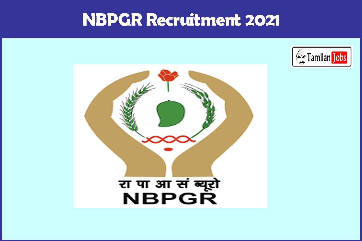 Nbpgr Recruitment 2021 Out - Apply Upper Division Clerk Jobs