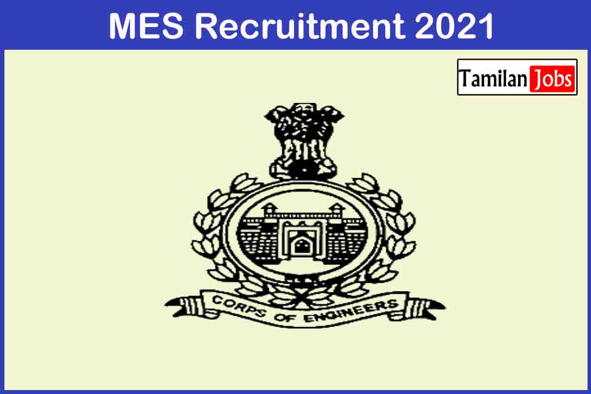 Mes Recruitment 2021