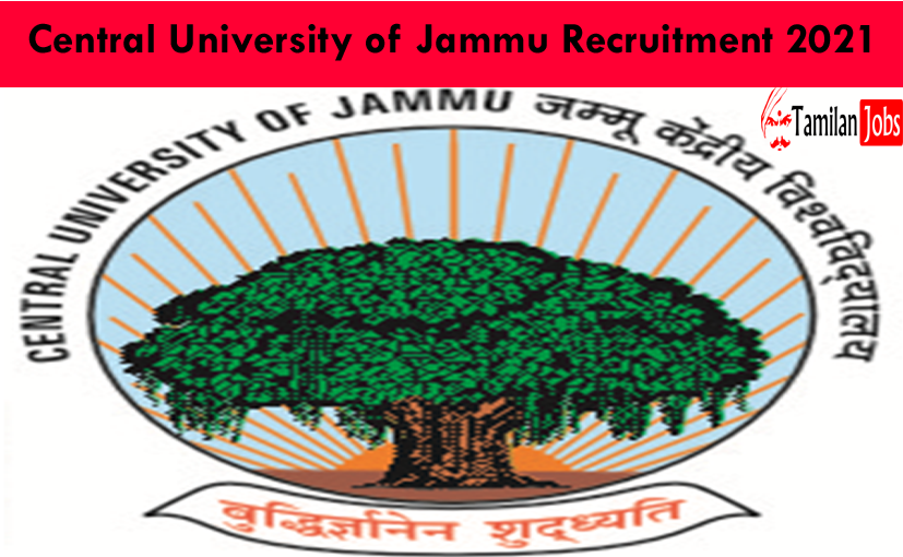 Central University Of Jammu Recruitment 2021