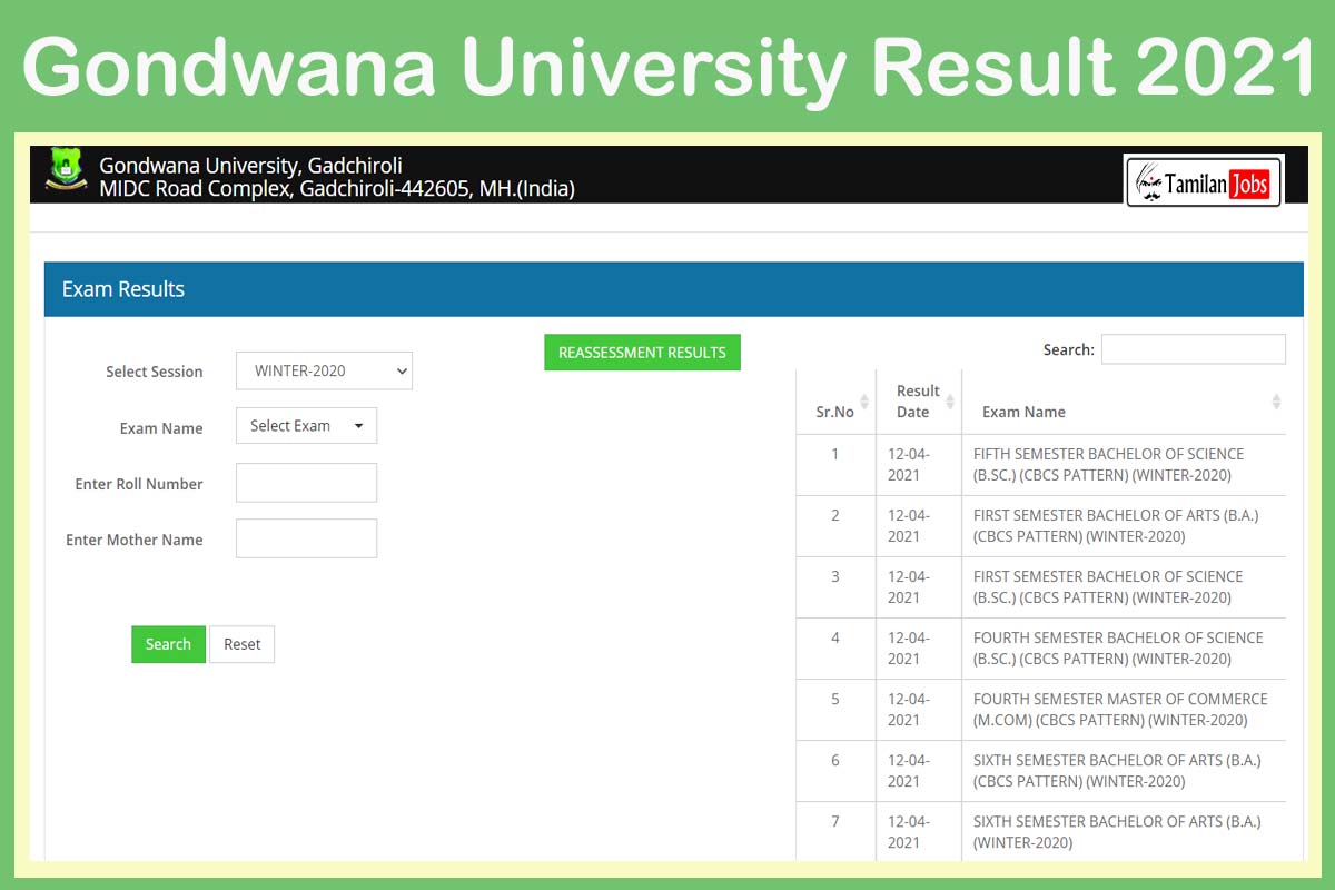 Gondwana University Result 2021