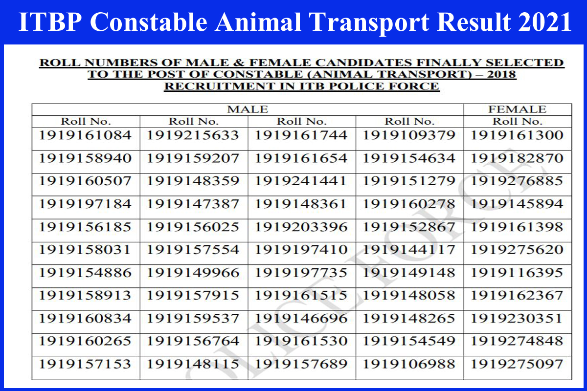 ITBP Constable Animal Transport Result 2021 (Released) | Cut Off, Merit  List @ 