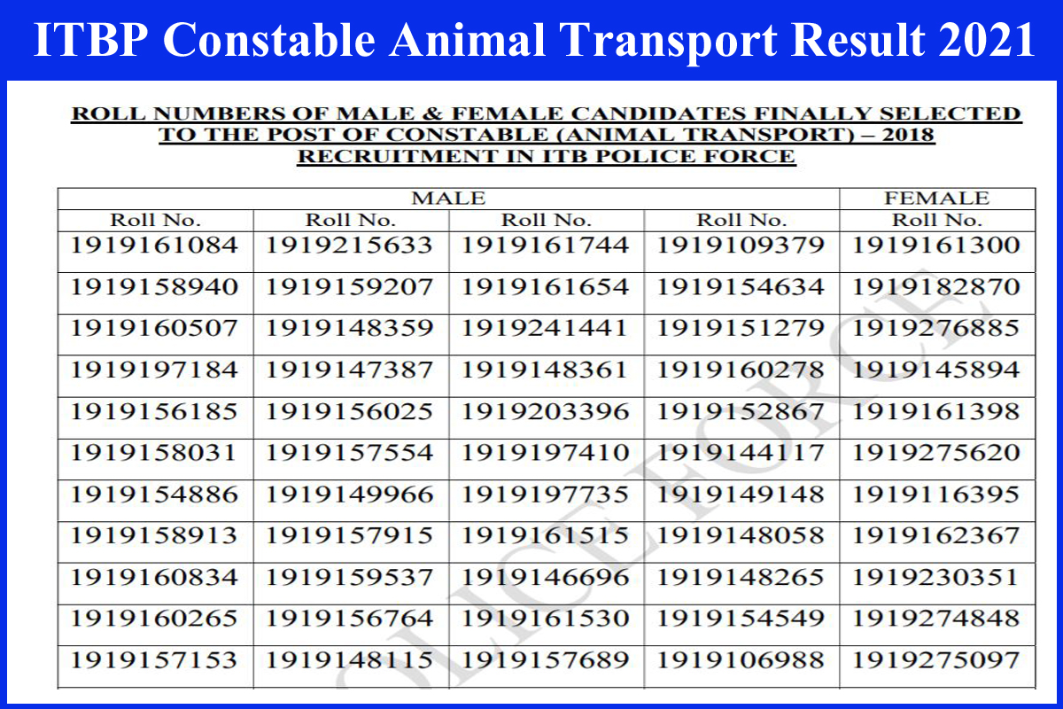 ITBP Constable Animal Transport Result 2021