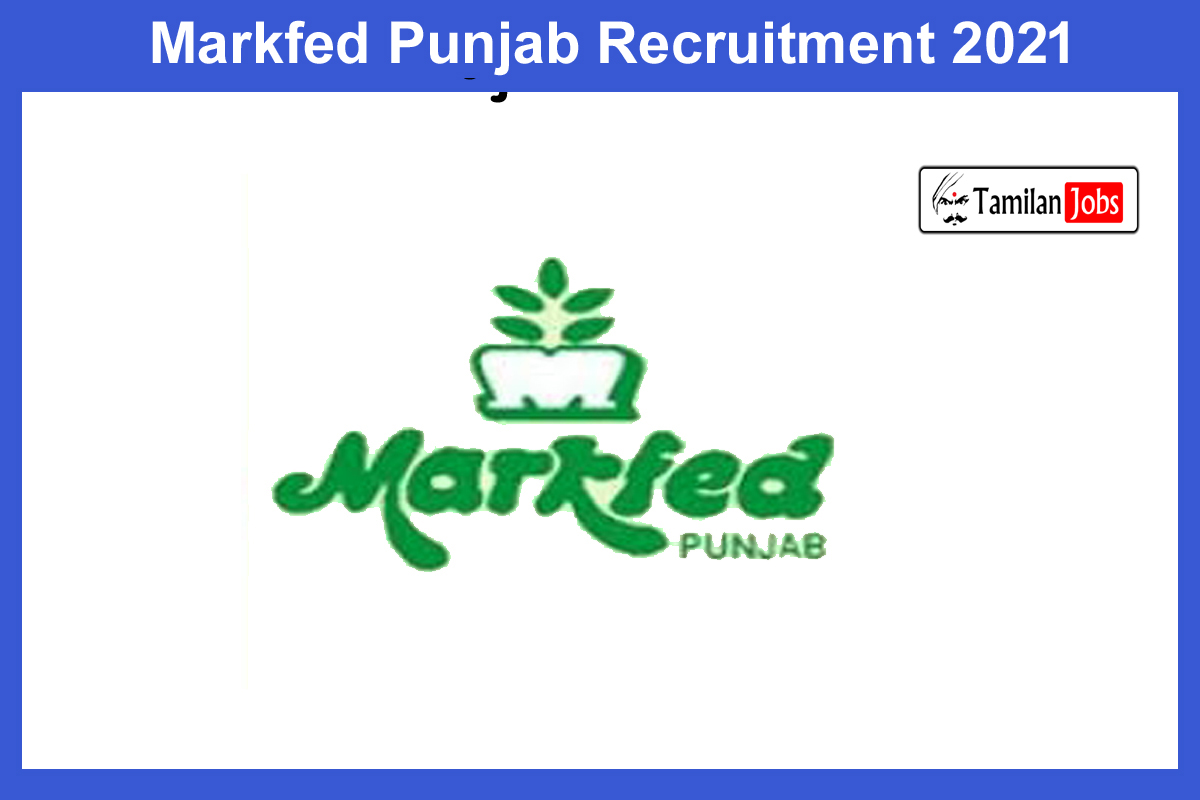 Markfed Punjab Recruitment 2021