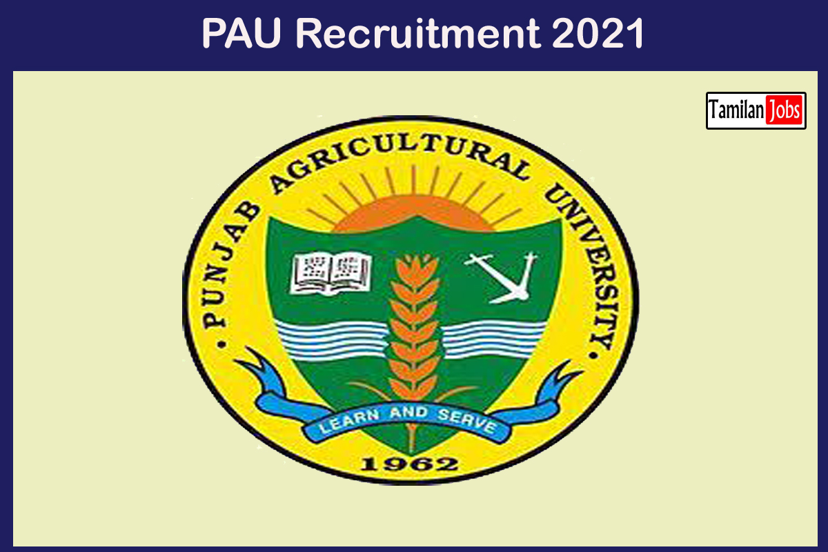 PAU Recruitment 2021