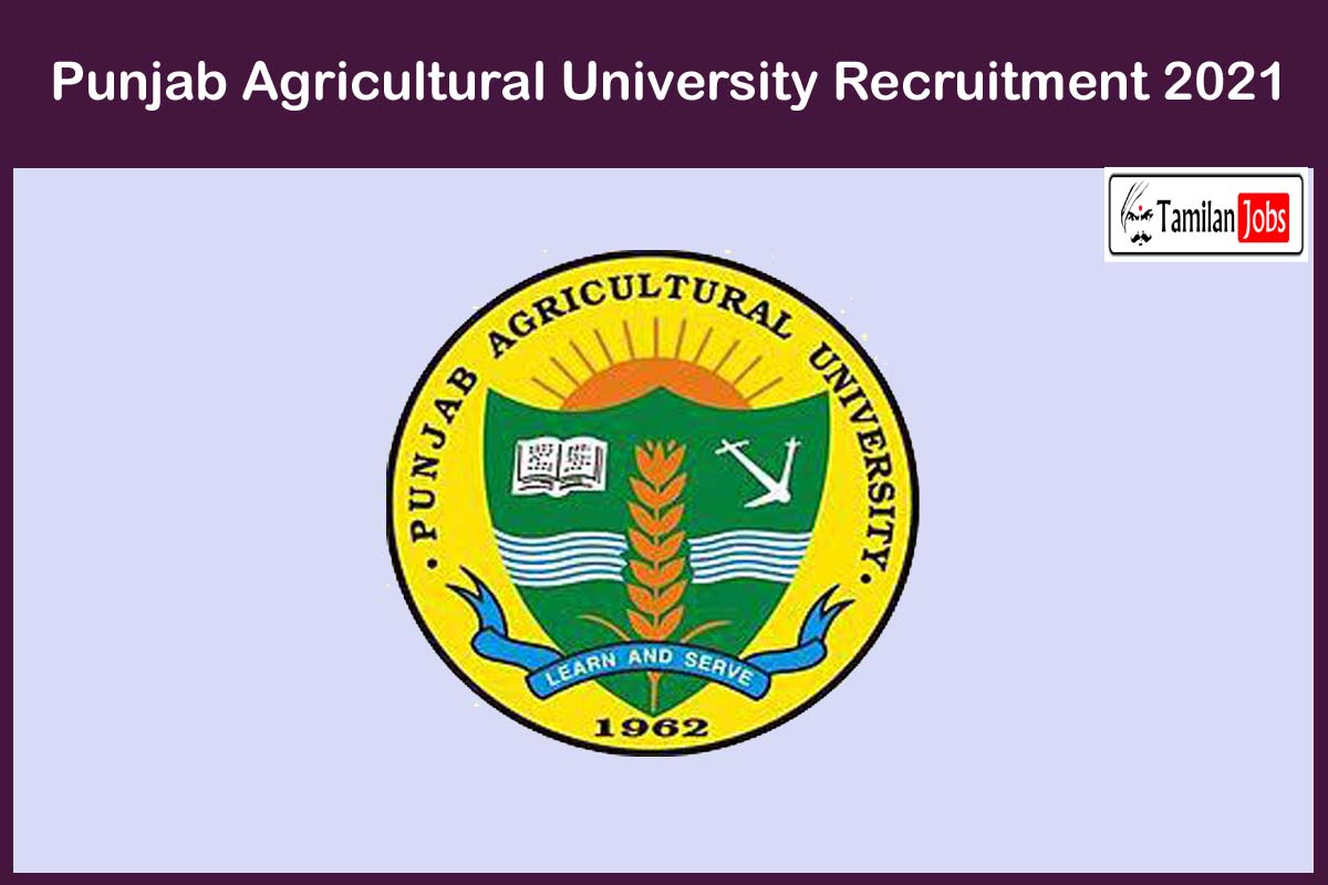 Punjab Agricultural University Recruitment 2021