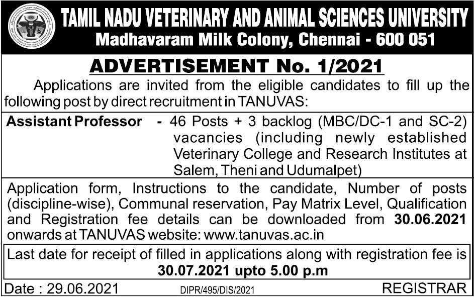 TANUVAS Recruitment 2021 Out @ Apply For 49 Assistant Professor Jobs ~ TN  Recruitment