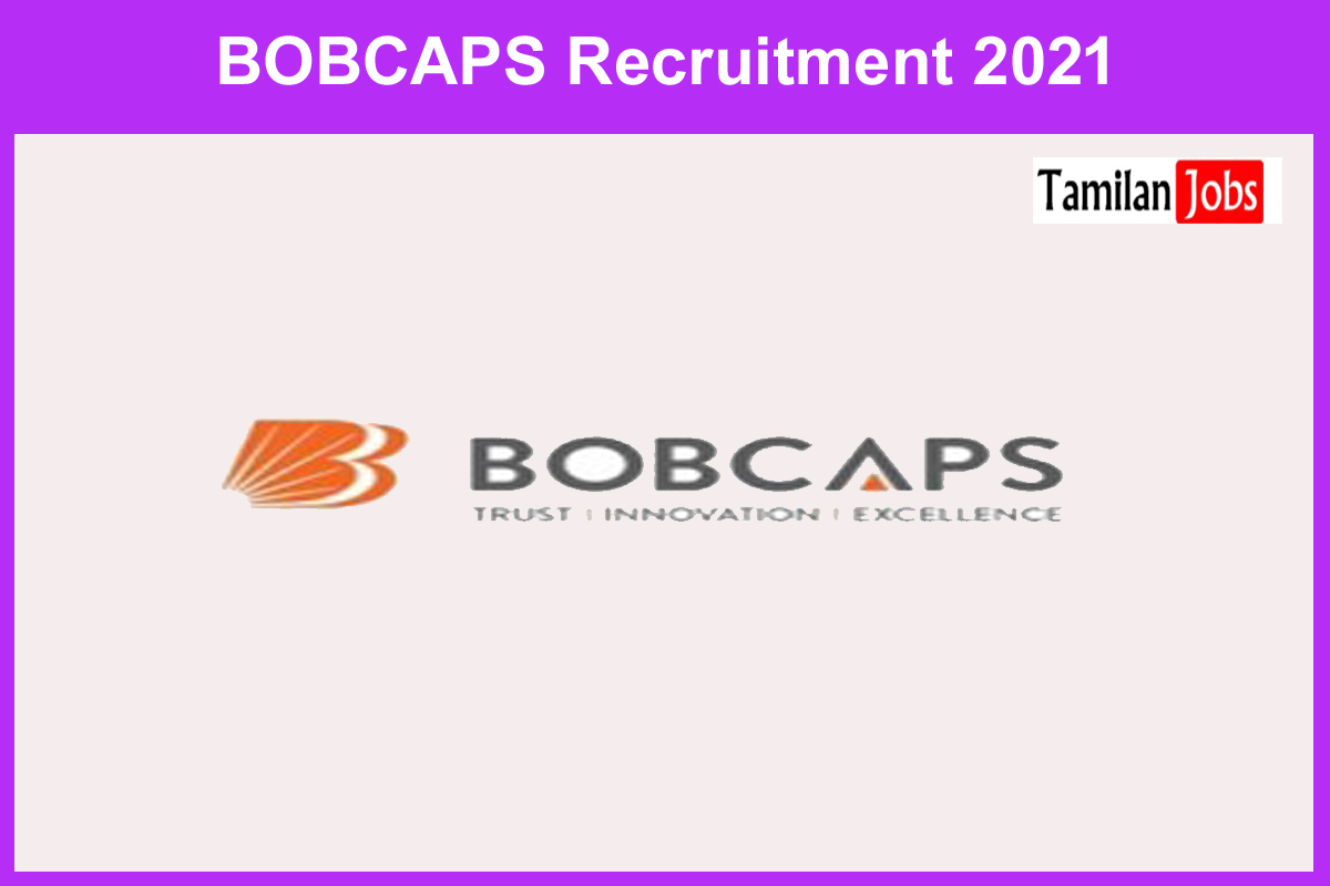 Bobcaps Recruitment 2021