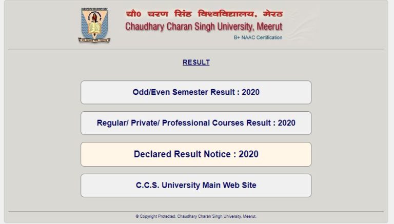 CCS University Result 2021