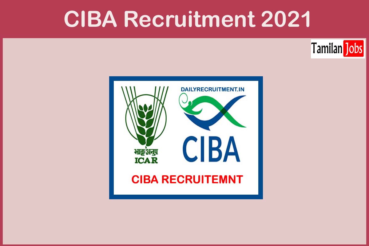 CIBA Recruitment 2021