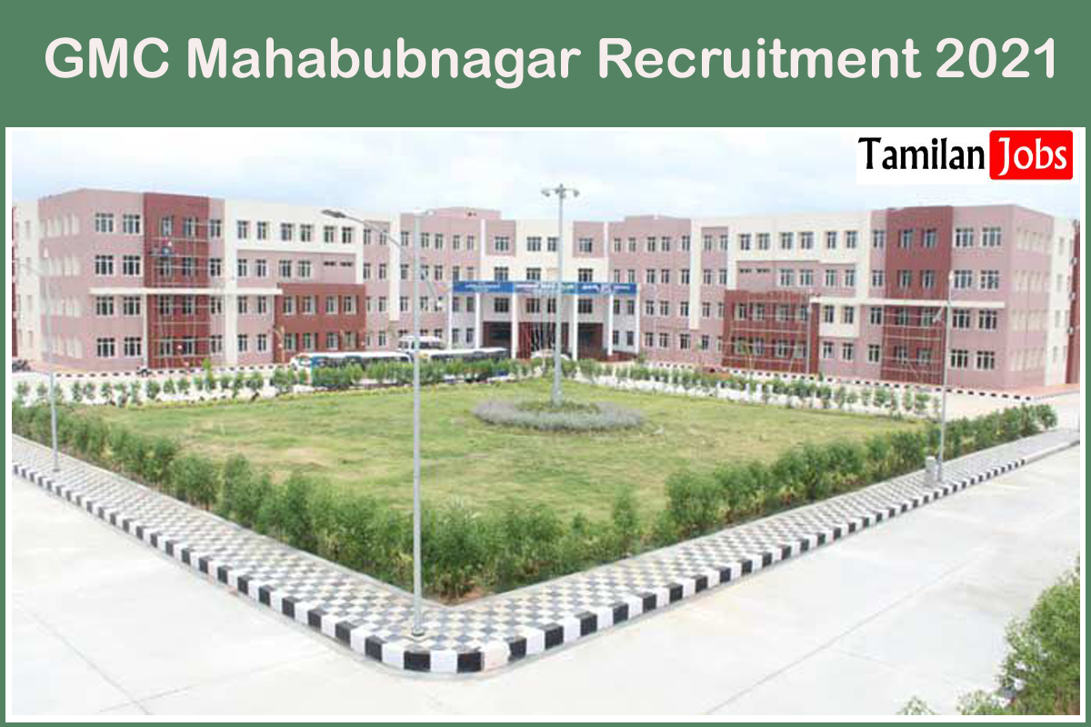 Gmc Mahabubnagar Recruitment 2021