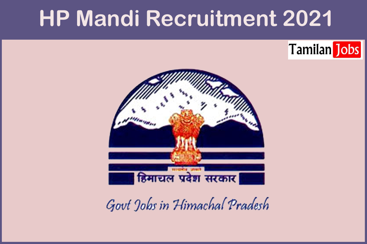 Hp Mandi Recruitment 2021