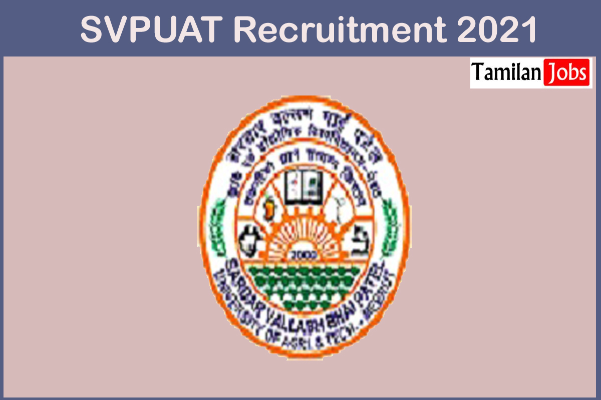 SVPUAT Recruitment 2021