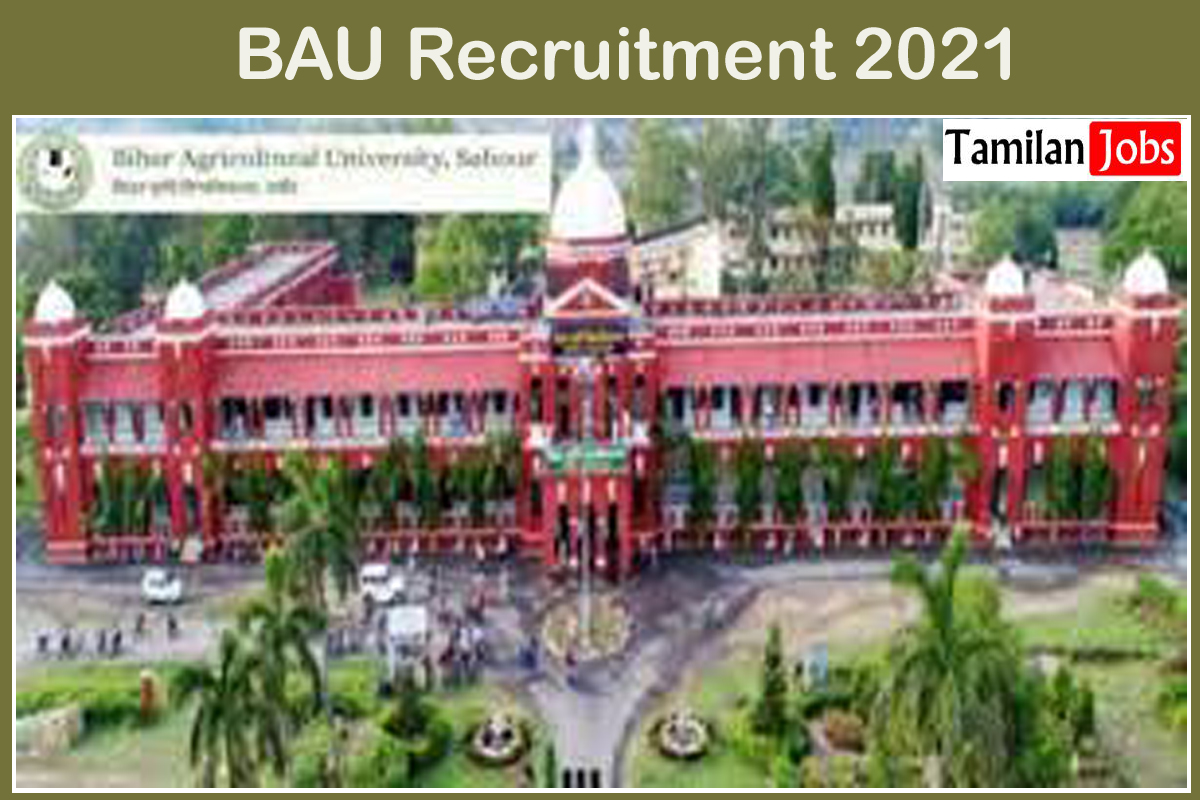 BAU Recruitment 2021