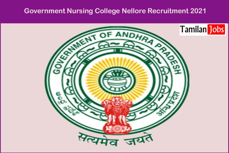 Government Nursing College Nellore Recruitment 2021