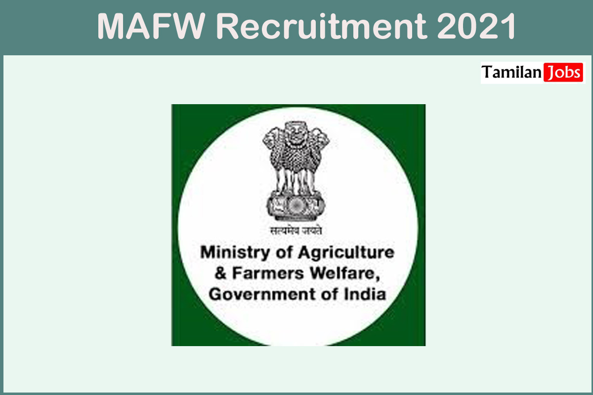 Mafw Recruitment 2021