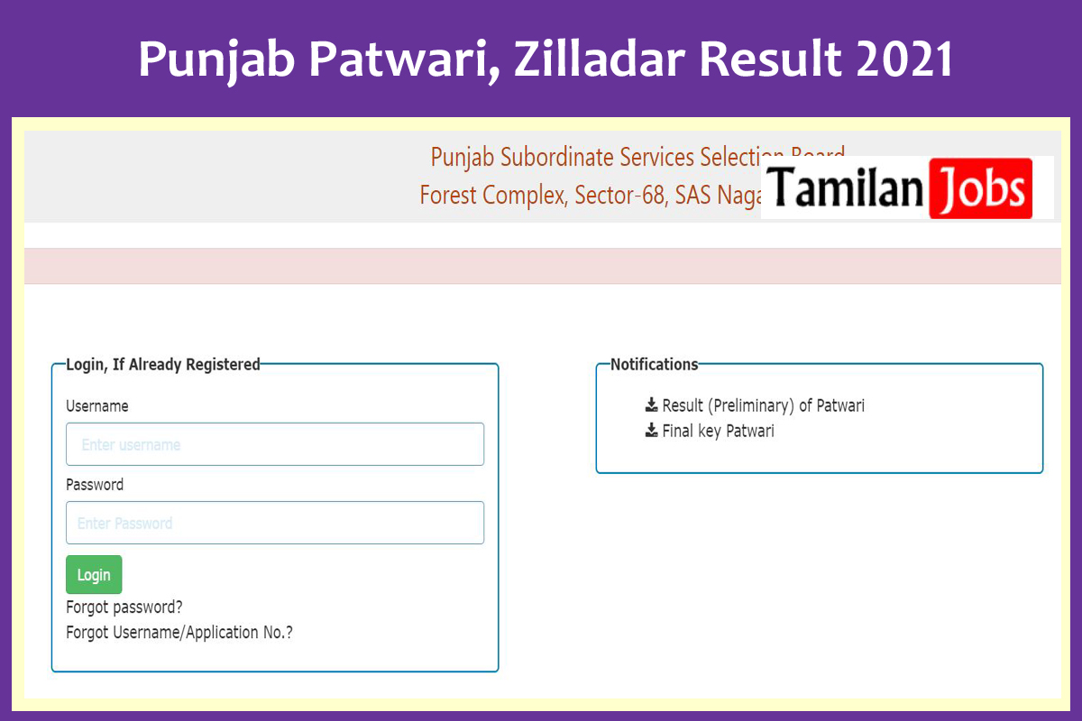 Punjab Patwari, Zilladar Result 2021