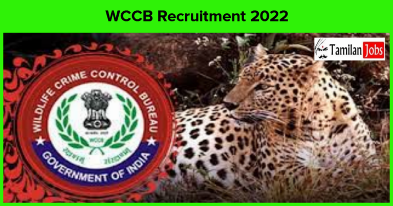 WCCB Recruitment 2022
