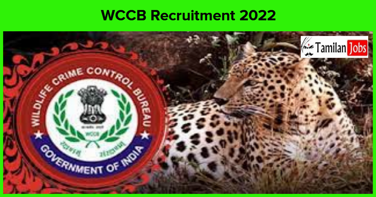 WCCB Recruitment 2022