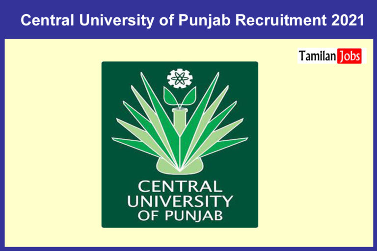 Central University of Punjab Recruitment 2021