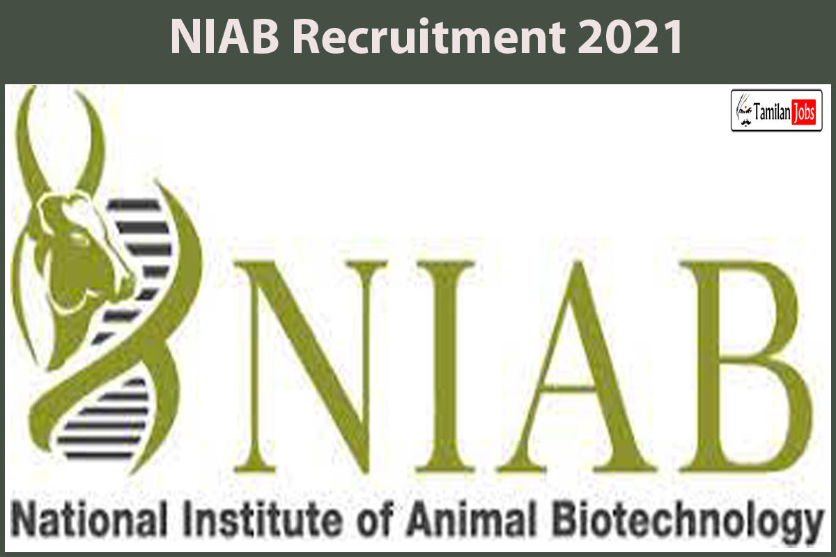 NIAB Recruitment 2021