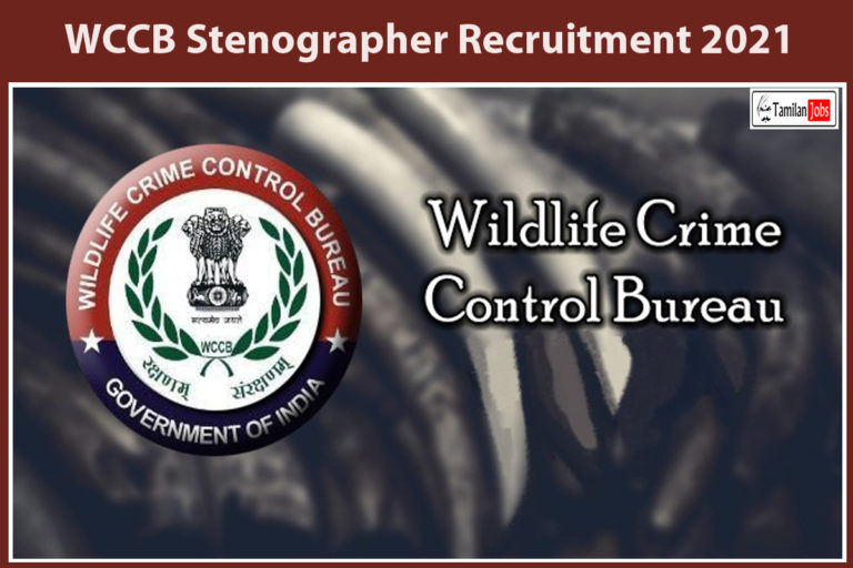 WCCB Stenographer Recruitment 2021