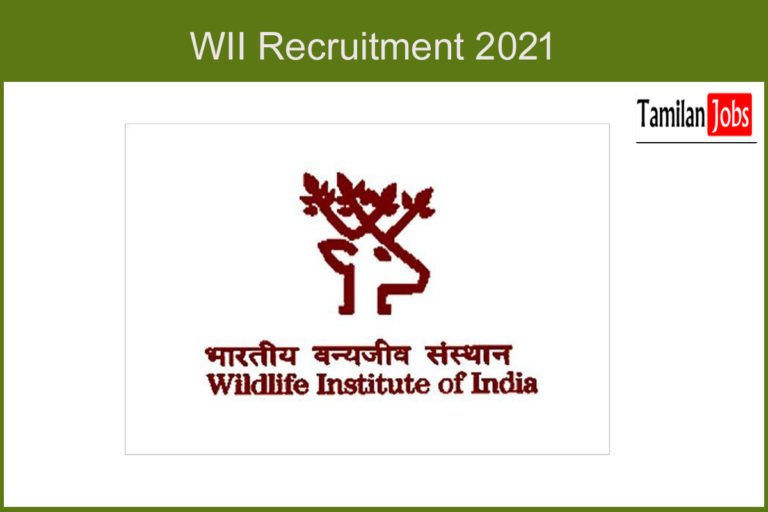 WII Recruitment 2021