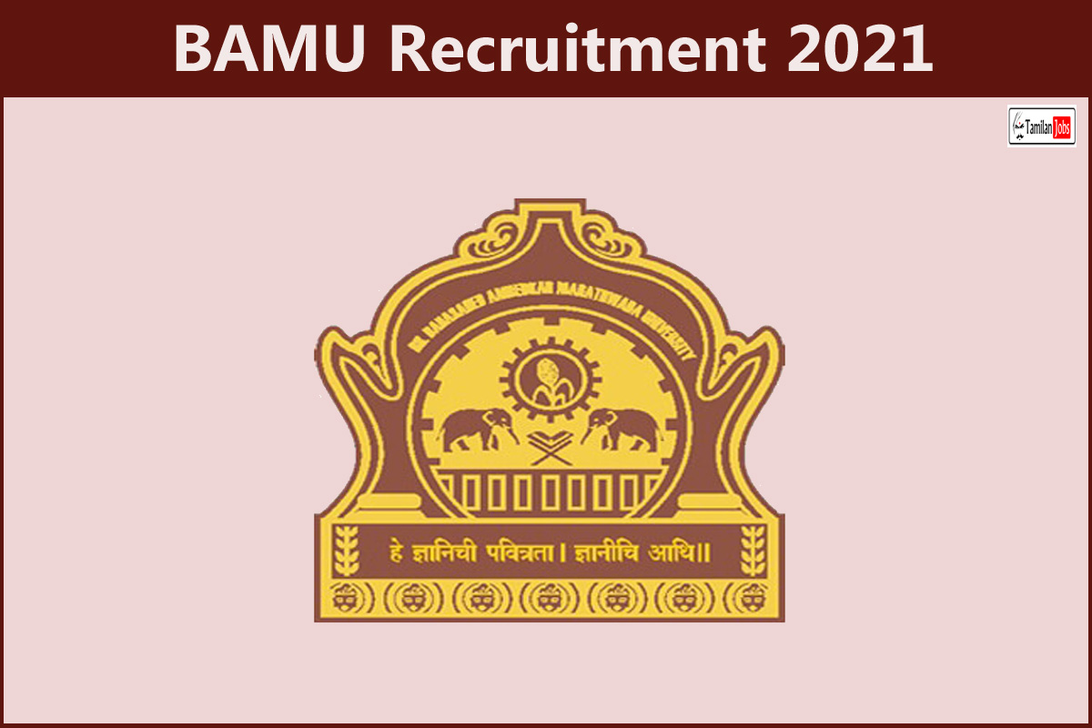 BAMU Recruitment 2021