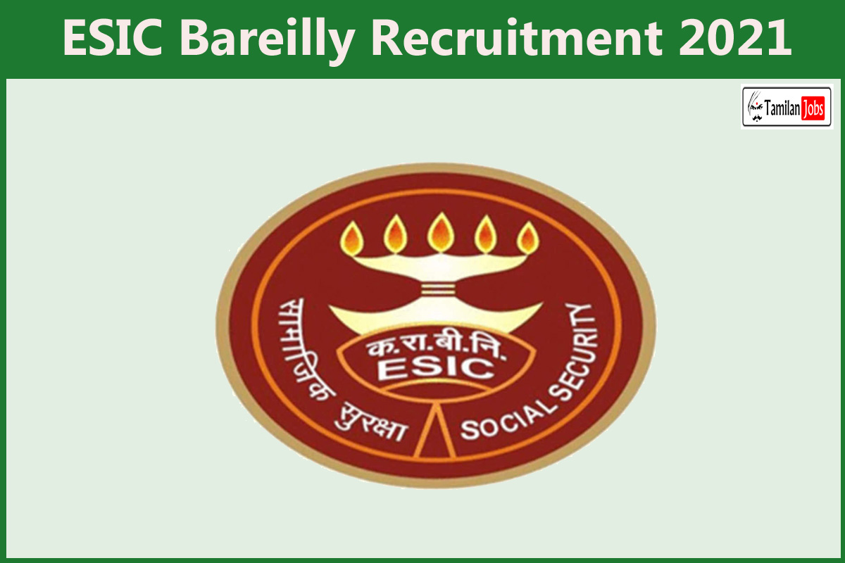 Esic Bareilly Recruitment 2021 Out - Apply For Senior Resident, Specialist Jobs