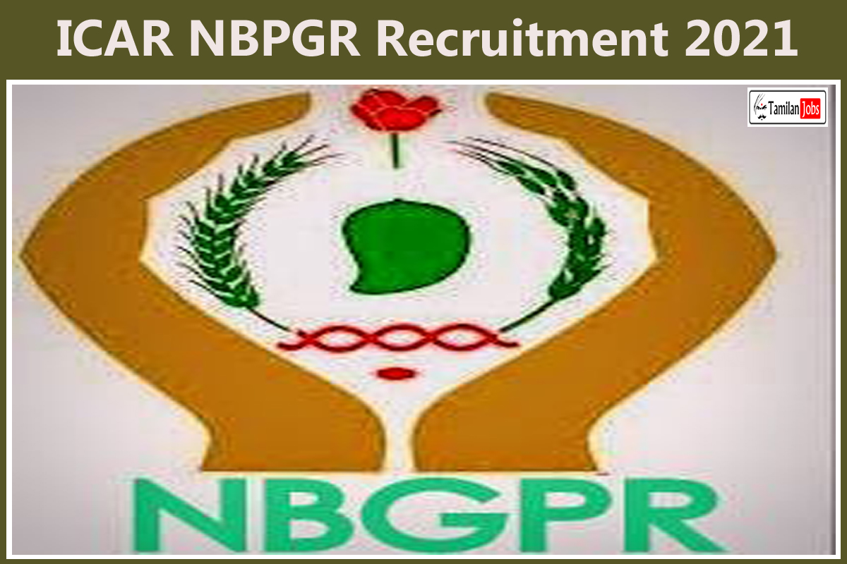 Icar Nbpgr Recruitment 2021