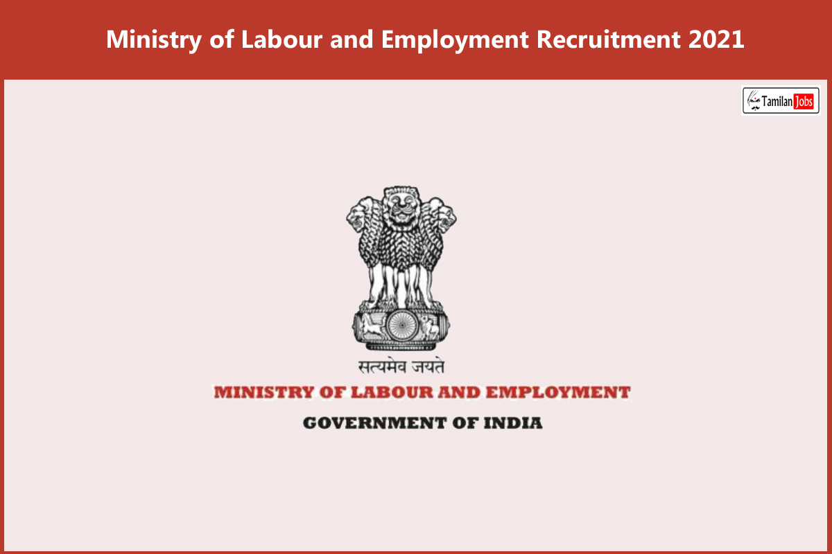 Ministry of Labour and Employment Recruitment 2021