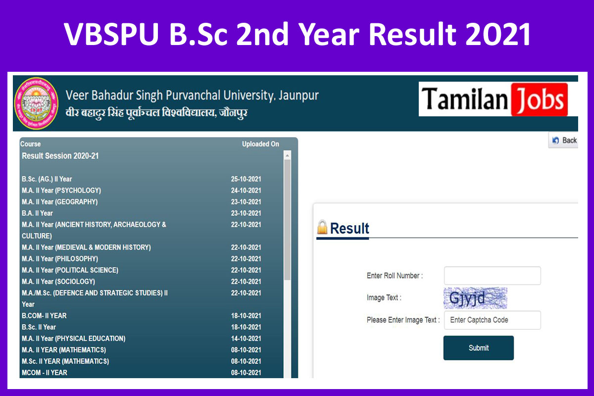 VBSPU B.Sc 2nd Year Result 2021