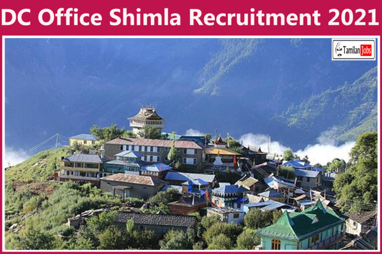 DC Office Shimla Recruitment 2021