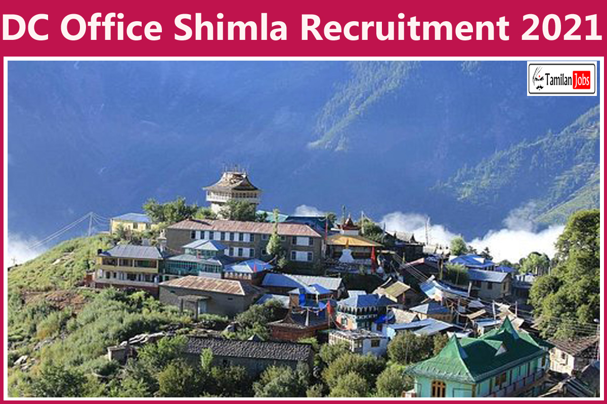 DC Office Shimla Recruitment 2021