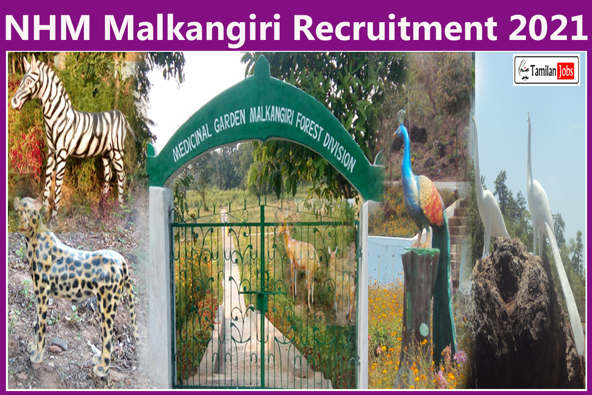 NHM Malkangiri Recruitment 2021