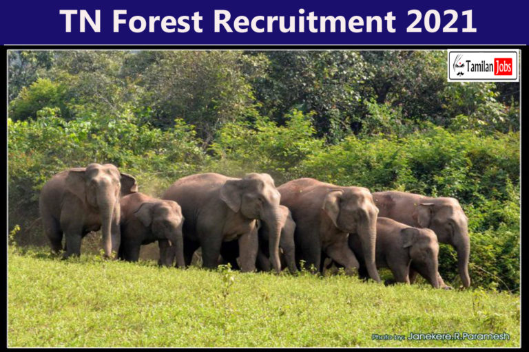 TN Forest Recruitment 2021