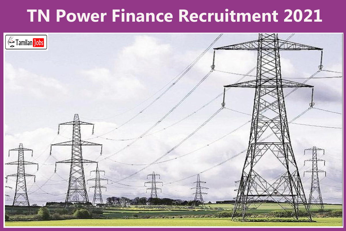 TN Power Finance Recruitment 2021