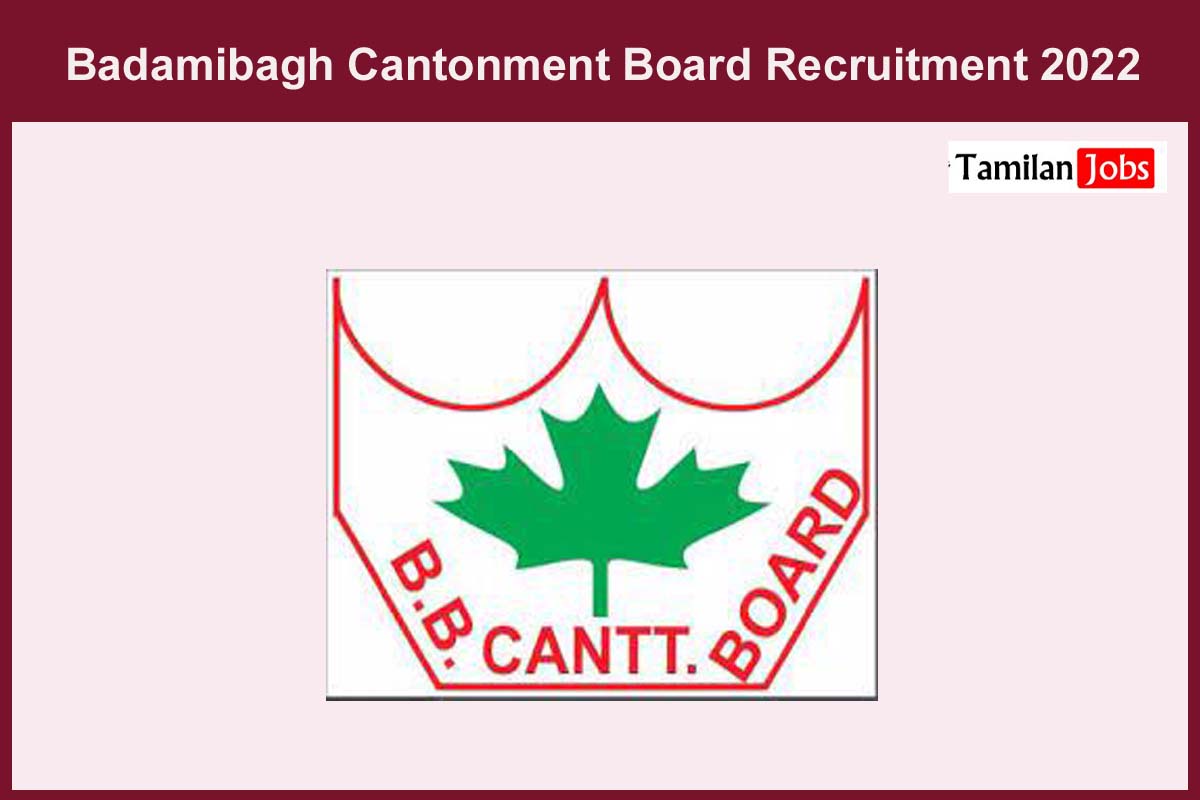 Badamibagh Cantonment Board Recruitment 2022