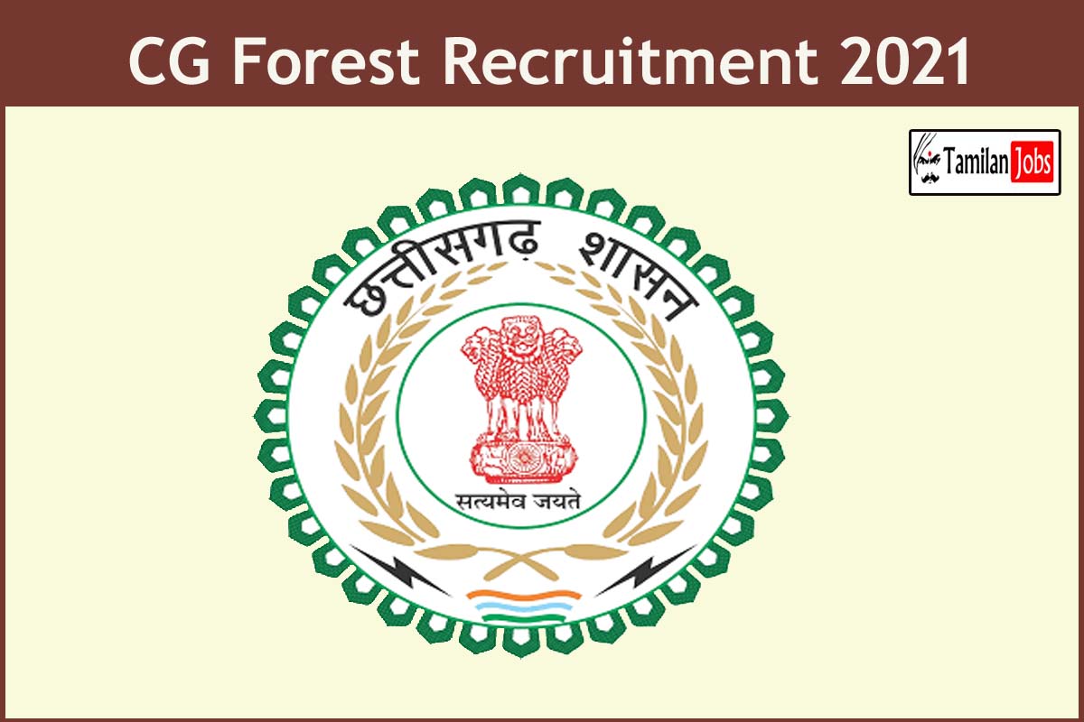Cg Forest Recruitment 2021