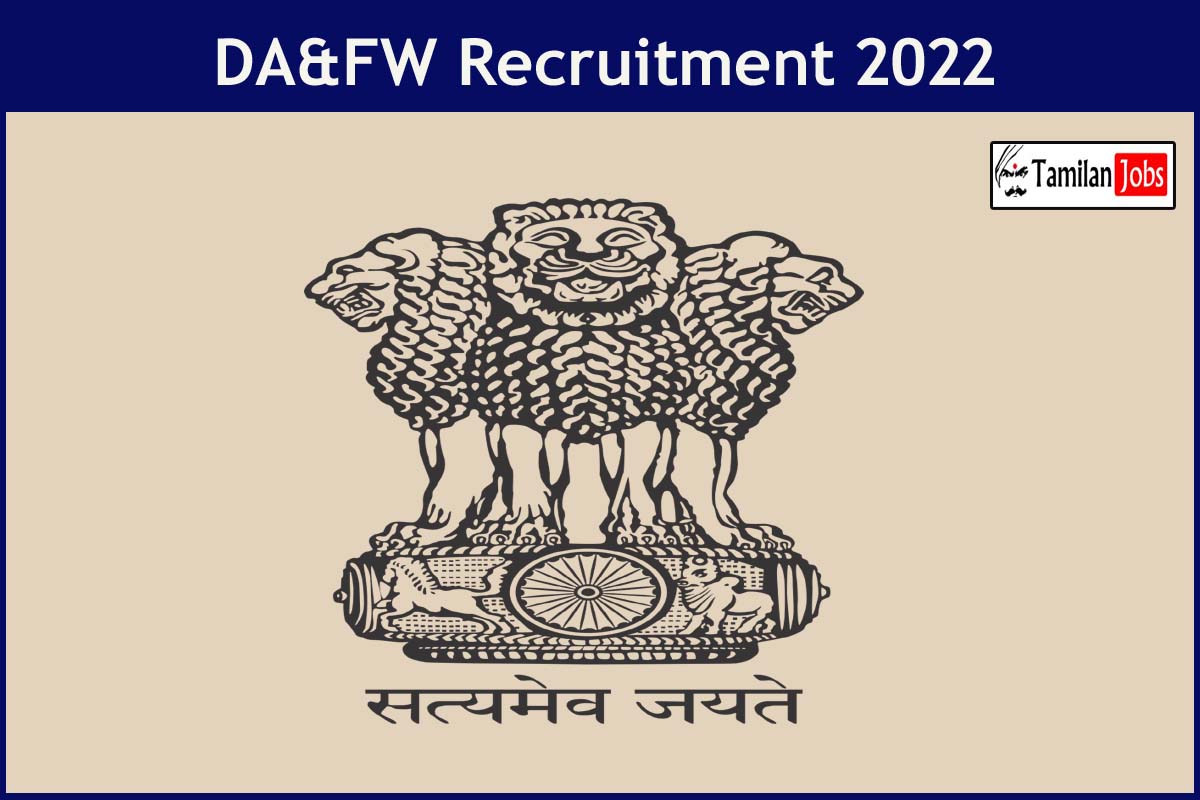 DA&FW Recruitment 2022