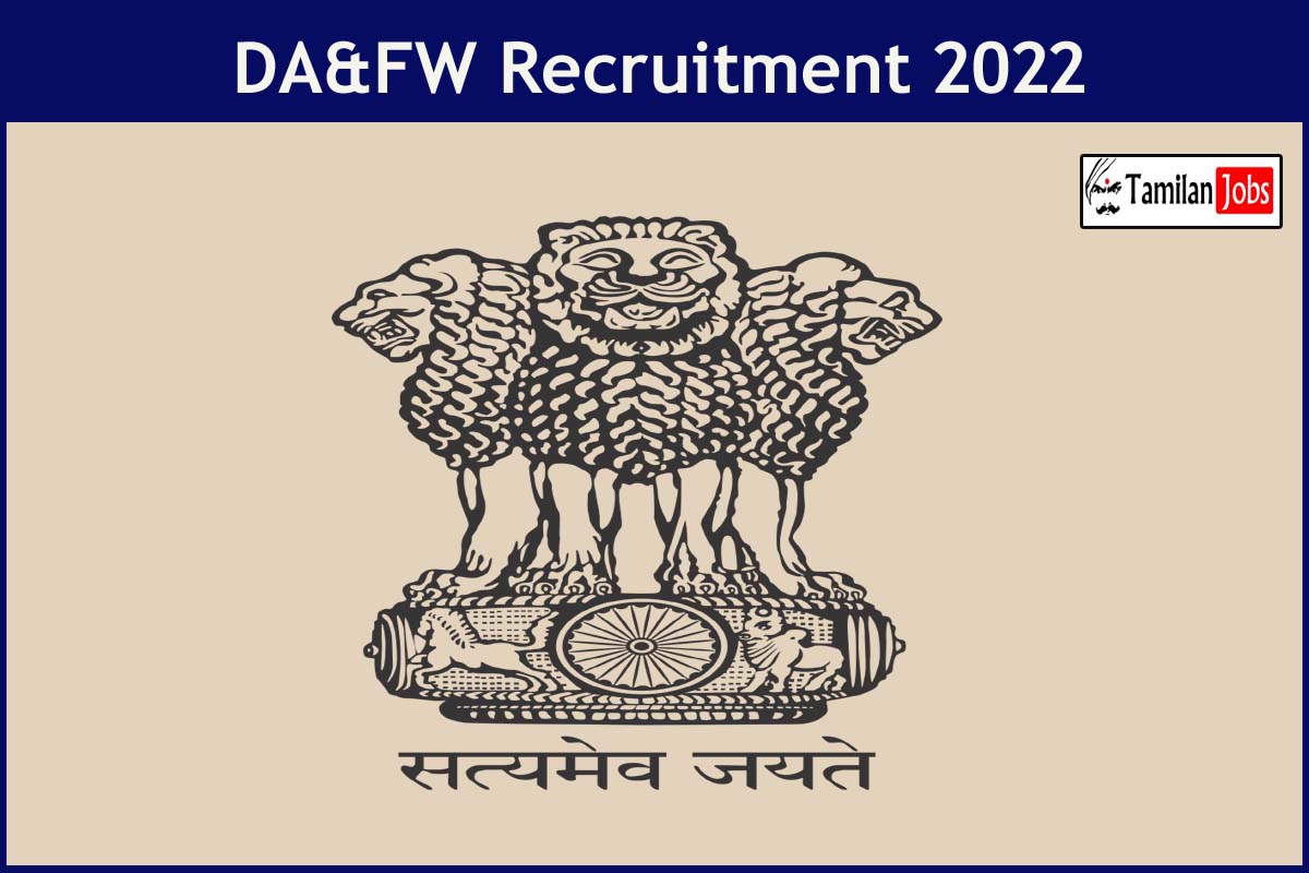 Da&Amp;Fw Recruitment 2022