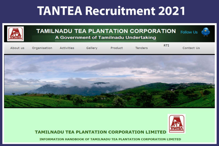 TANTEA Recruitment 2021