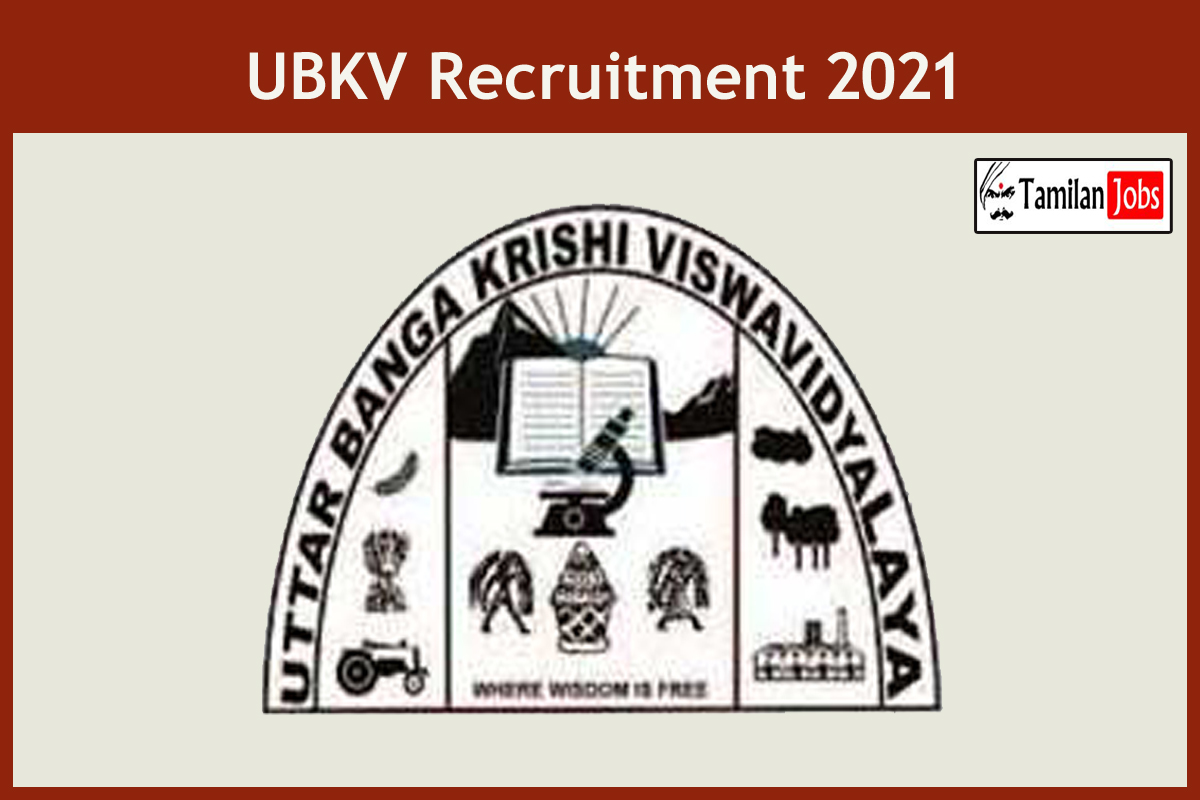 Ubkv Recruitment 2021