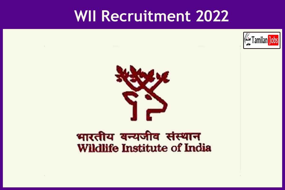 WII Recruitment 2022