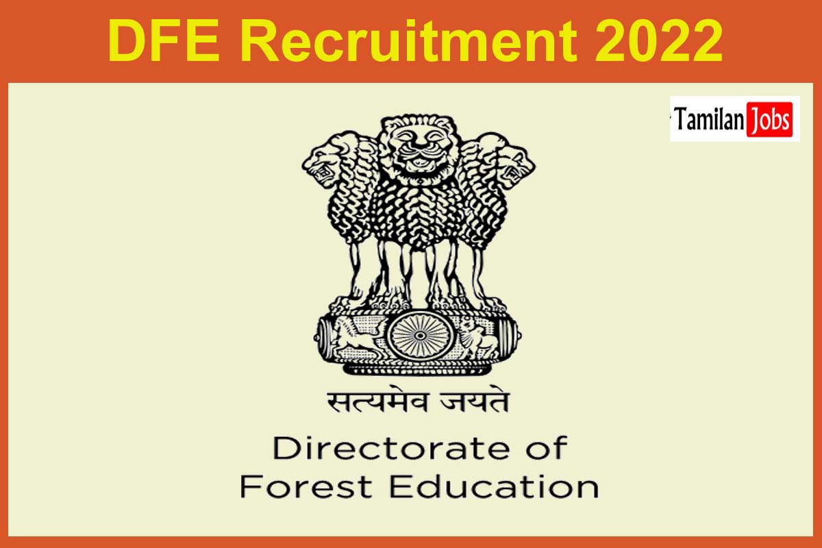 DFE Recruitment 2022