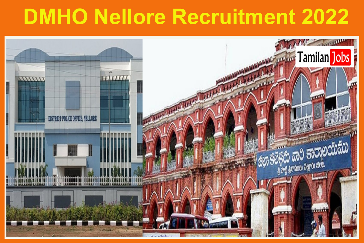 DMHO Nellore Recruitment 2022
