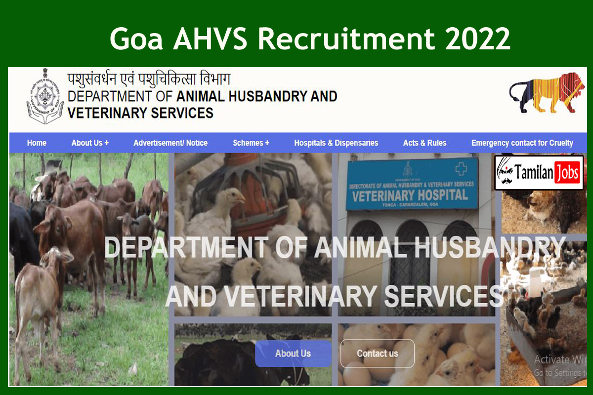 Goa AHVS Recruitment 2022 Out - Apply 73 Veterinary Assistant Jobs! Salary  /- PM!!